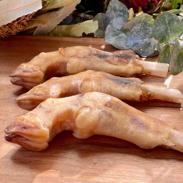 Trotters/Paya 4 legs - Image 2