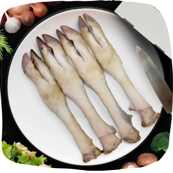 Trotters/Paya 4 legs