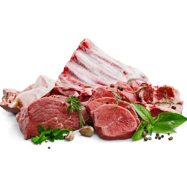 Live Goat - Image 2