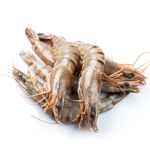 Medium Prawns - Image 2