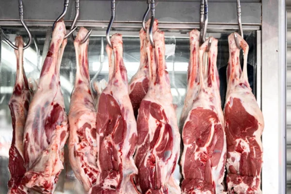 Premium Mutton 6-7KG Carcuss