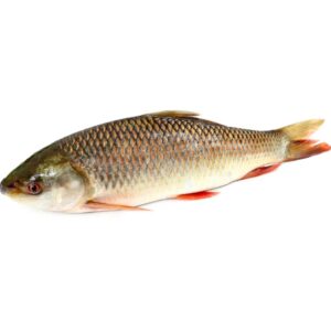 Rohu Fish Dressed (Fry Cut)